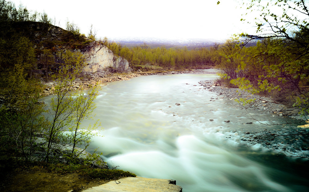 27464137903_07a4f4c8f8_b.jpg