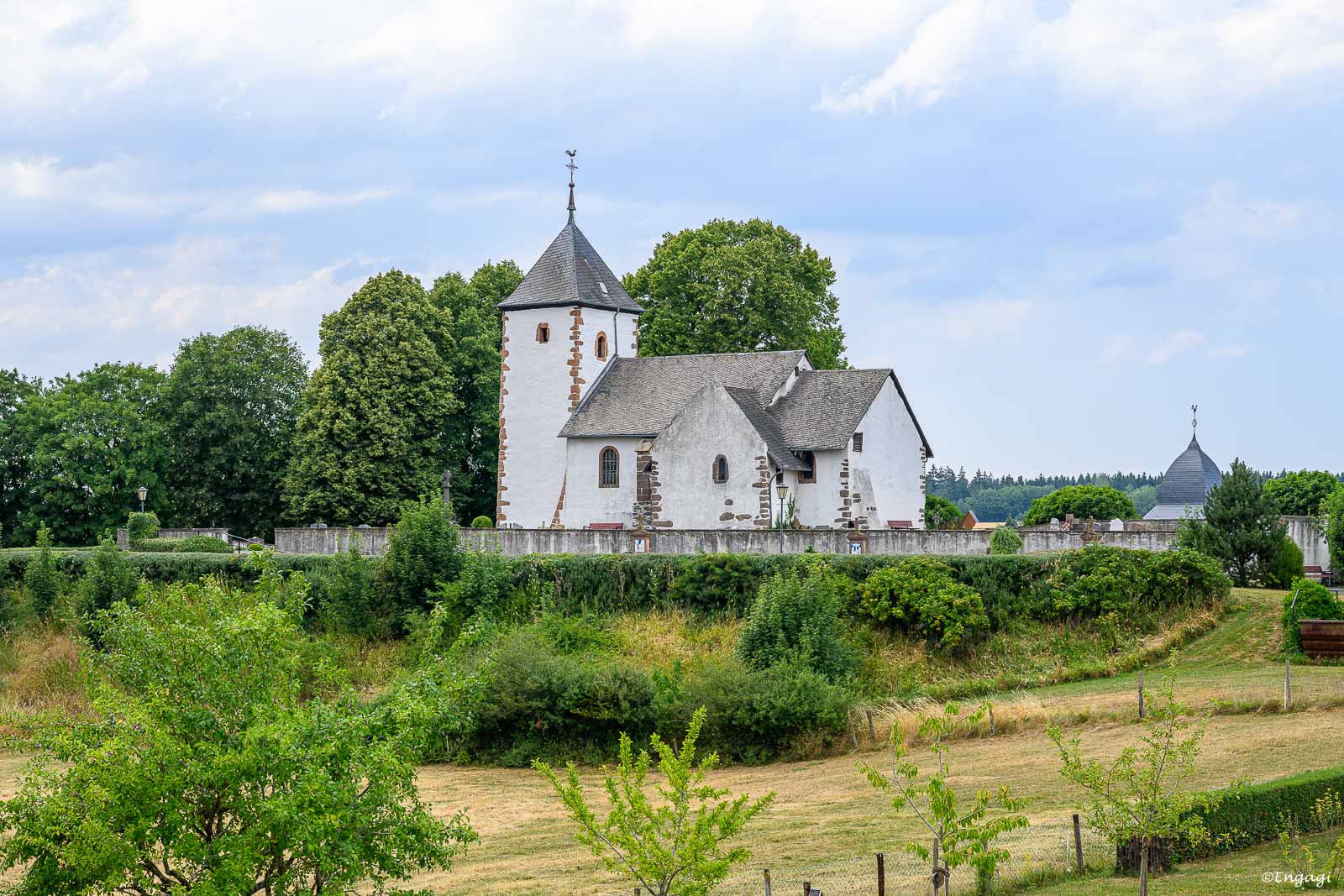 DSC_9935.jpg