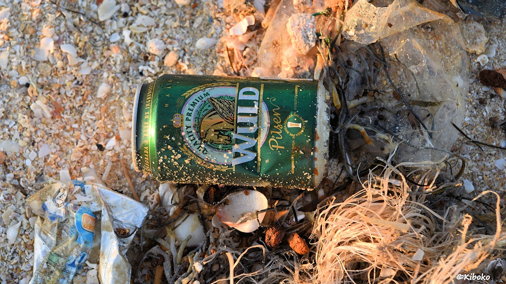 Das Bild zeigt eine liegende, grüne Bierdose am Strand zwischen Plastikfolienreste, Seetang und Muschelschalen.