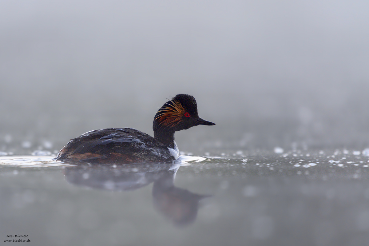 20150516_0043_PS_1200Px.jpg