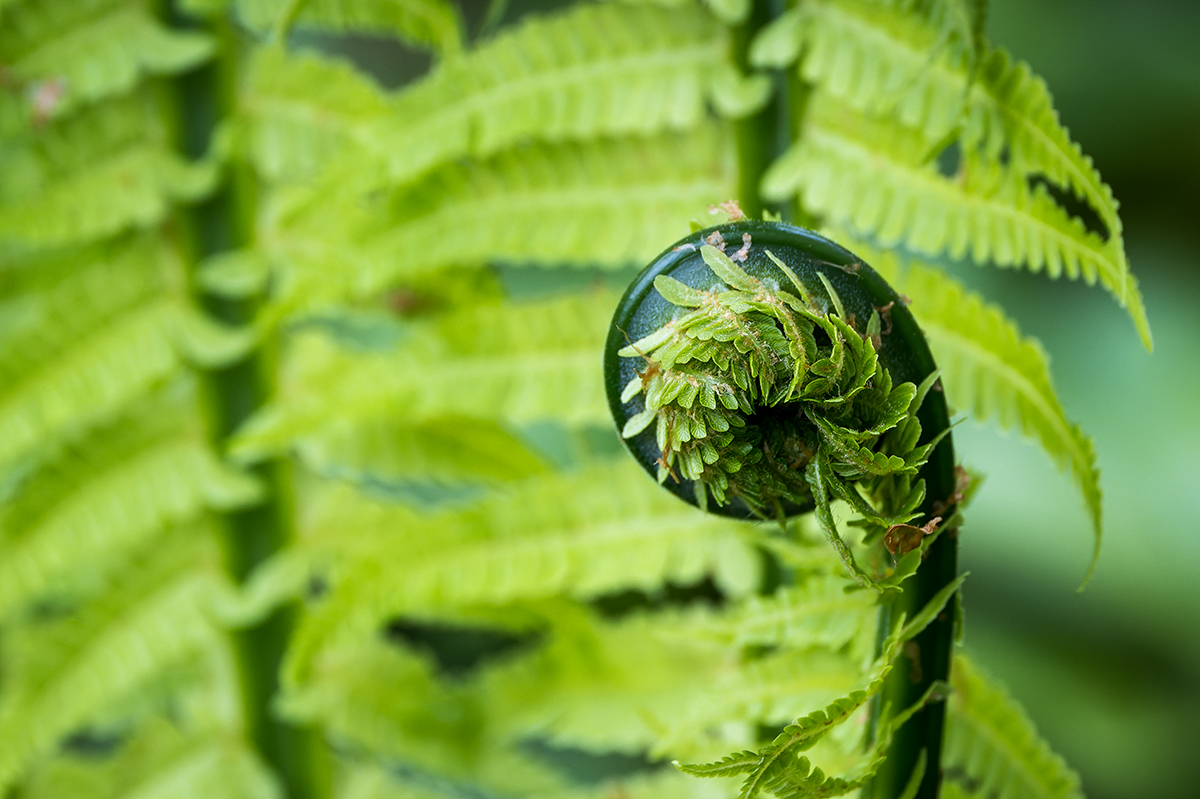 20230501_NZ9_0040_DPNF.jpg