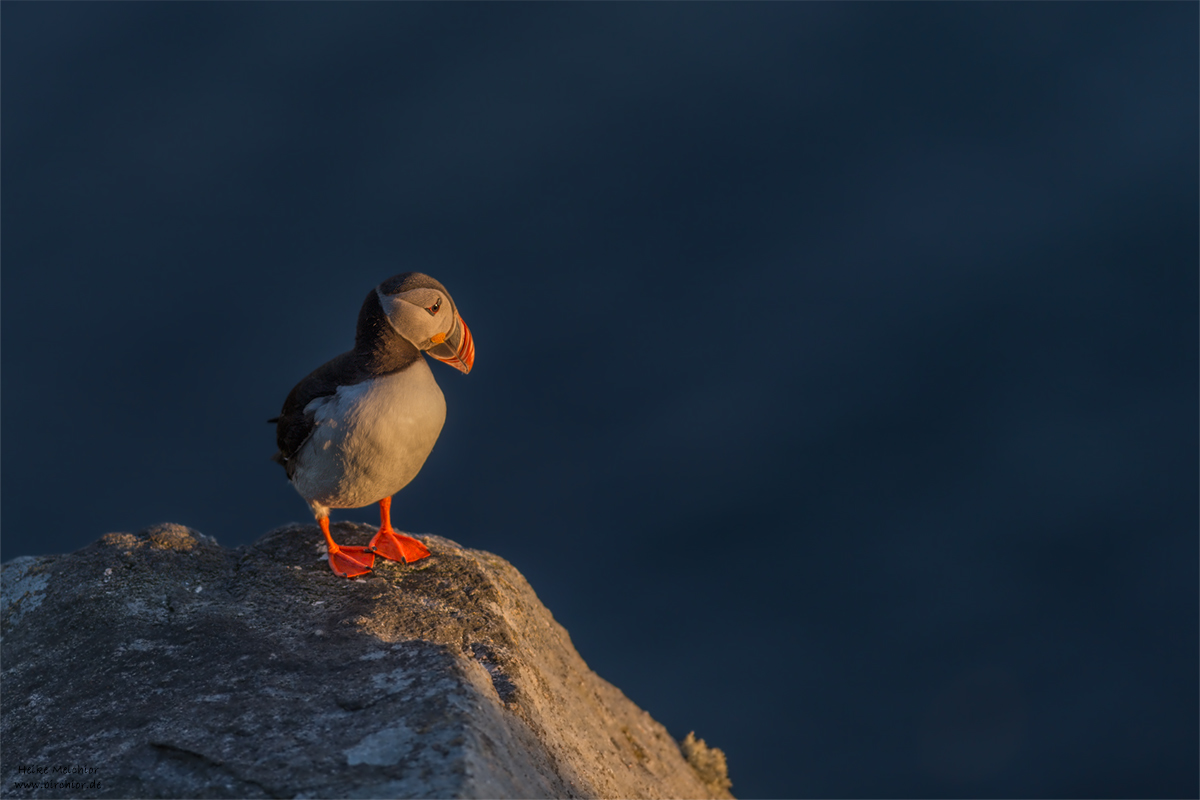 20140514_0727_PS_1200Px.jpg