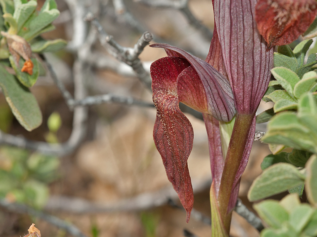 DSC_7653.jpg