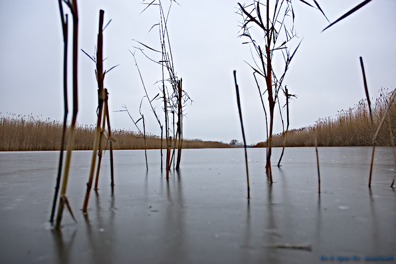 s_DSC_0950.jpg