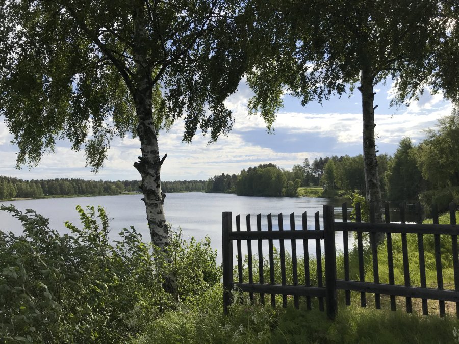 190617_081803.JPG