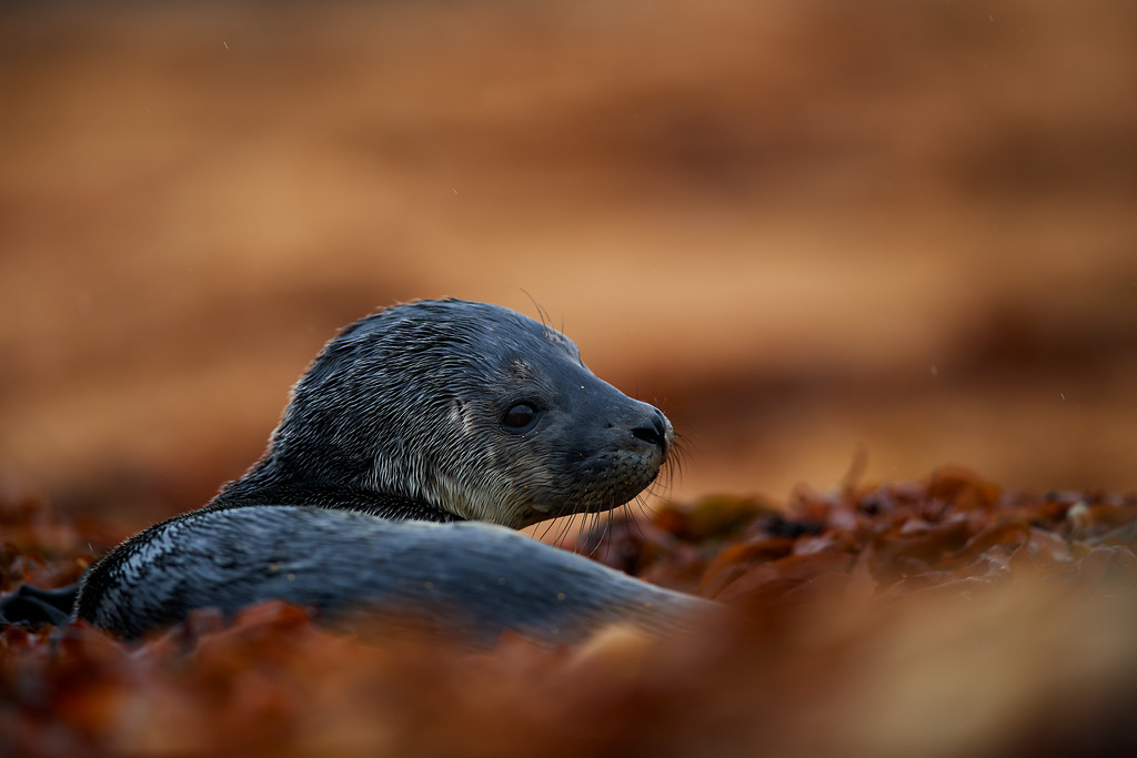 DSC_0023-XL.jpg