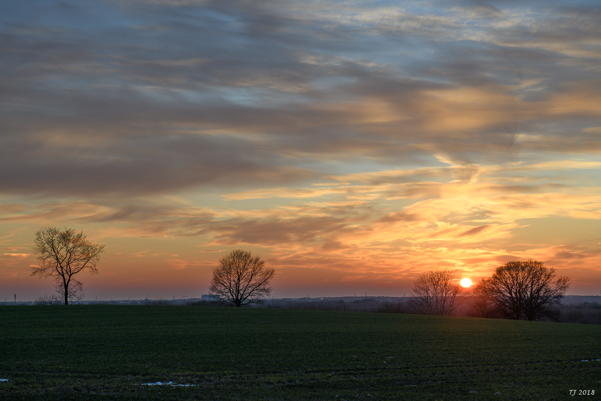 DSC_0530.jpg