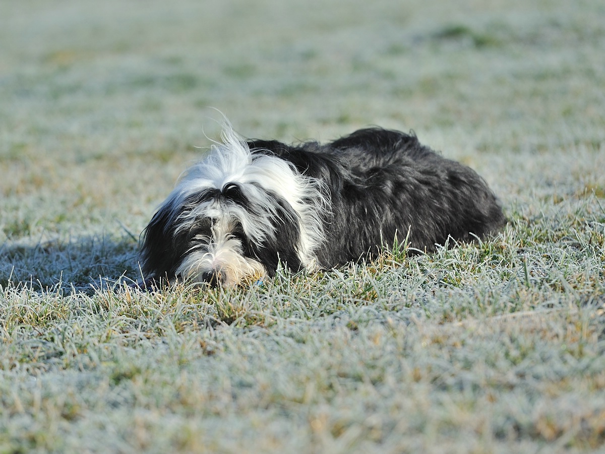 C_DSC_0182.jpg