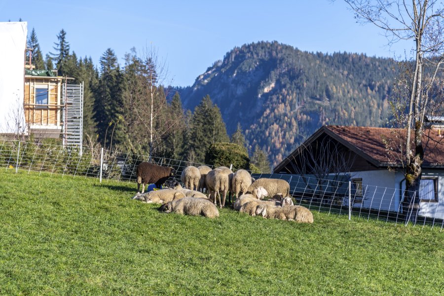 241104_145910.jpg