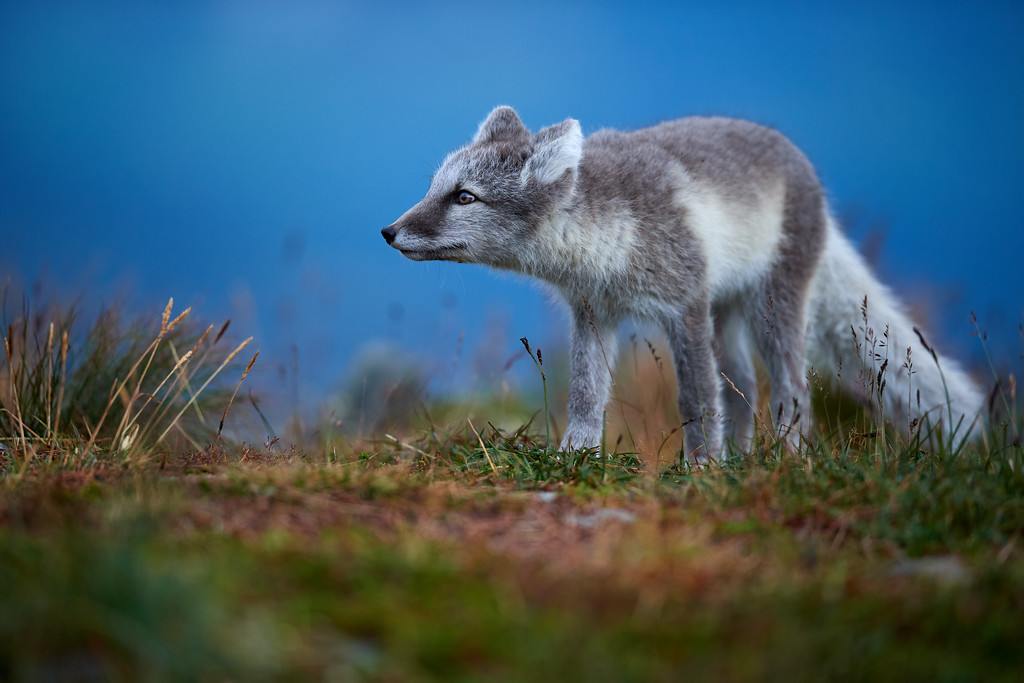 DSC_7180-XL.jpg