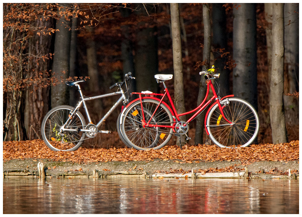 rotes%20Fahrrad%20001.jpg