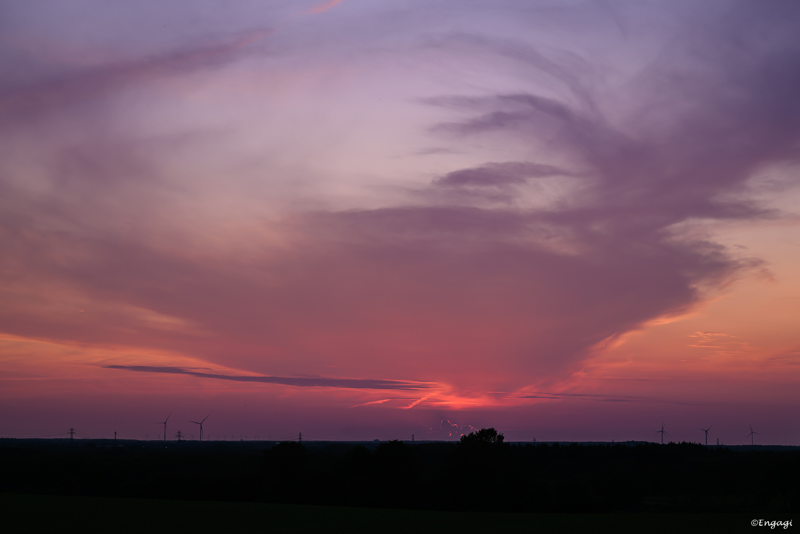 DSC_0488.jpg