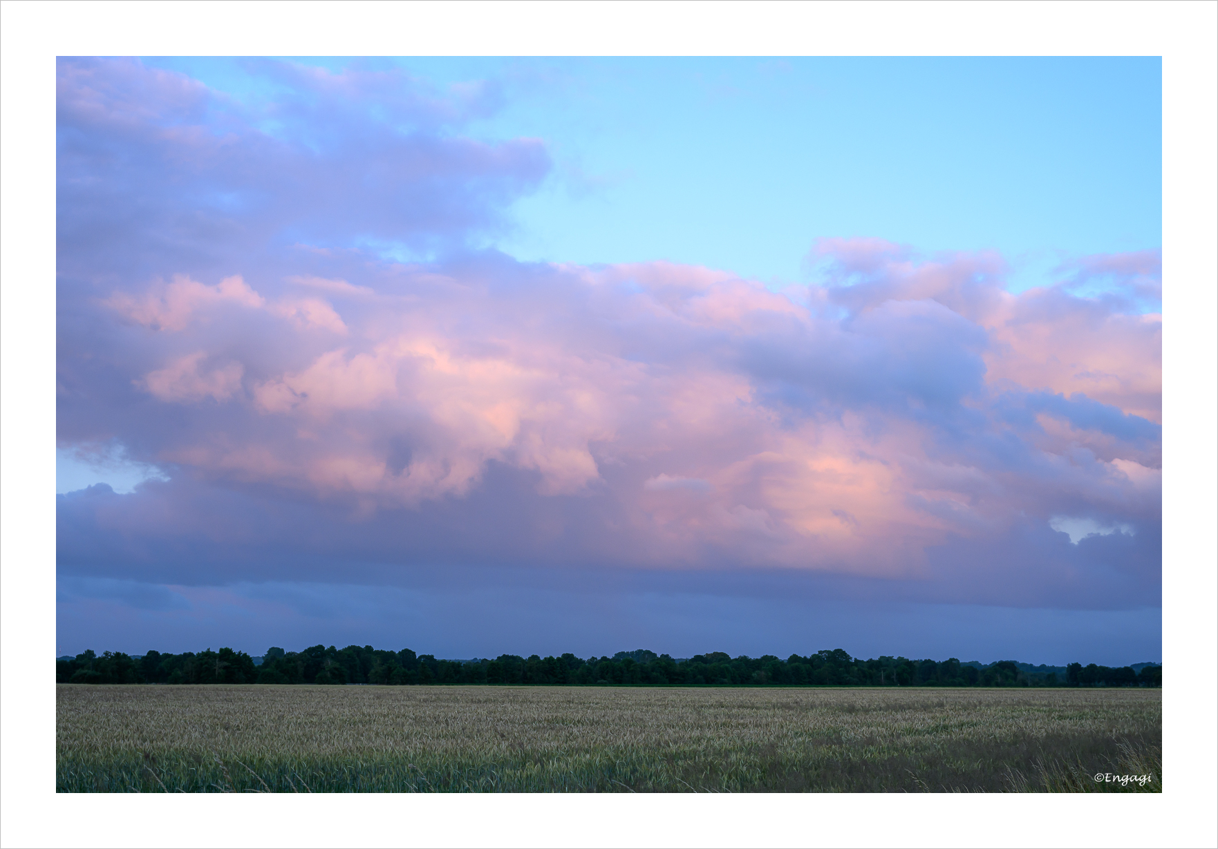 DSC_9873.jpg