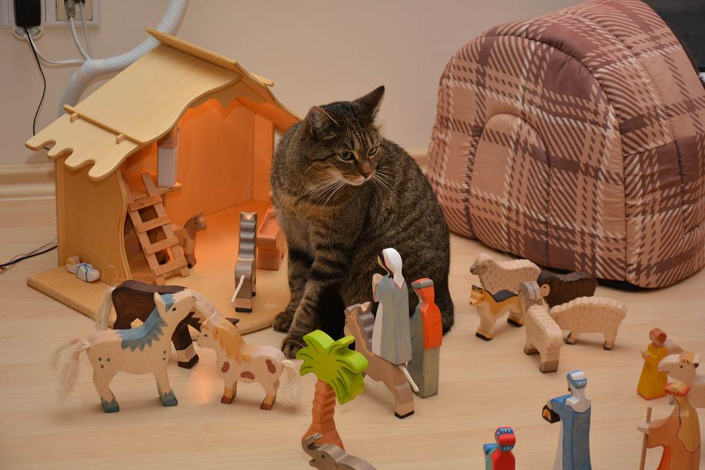 Katzenkrippe.jpg