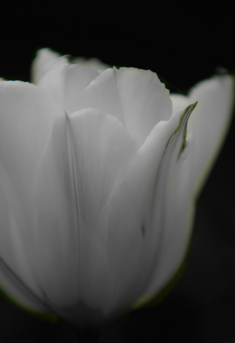 CK.R._DSC_2356_CK.jpg
