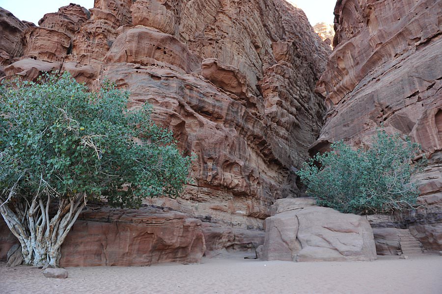 jordanien13_262.jpg