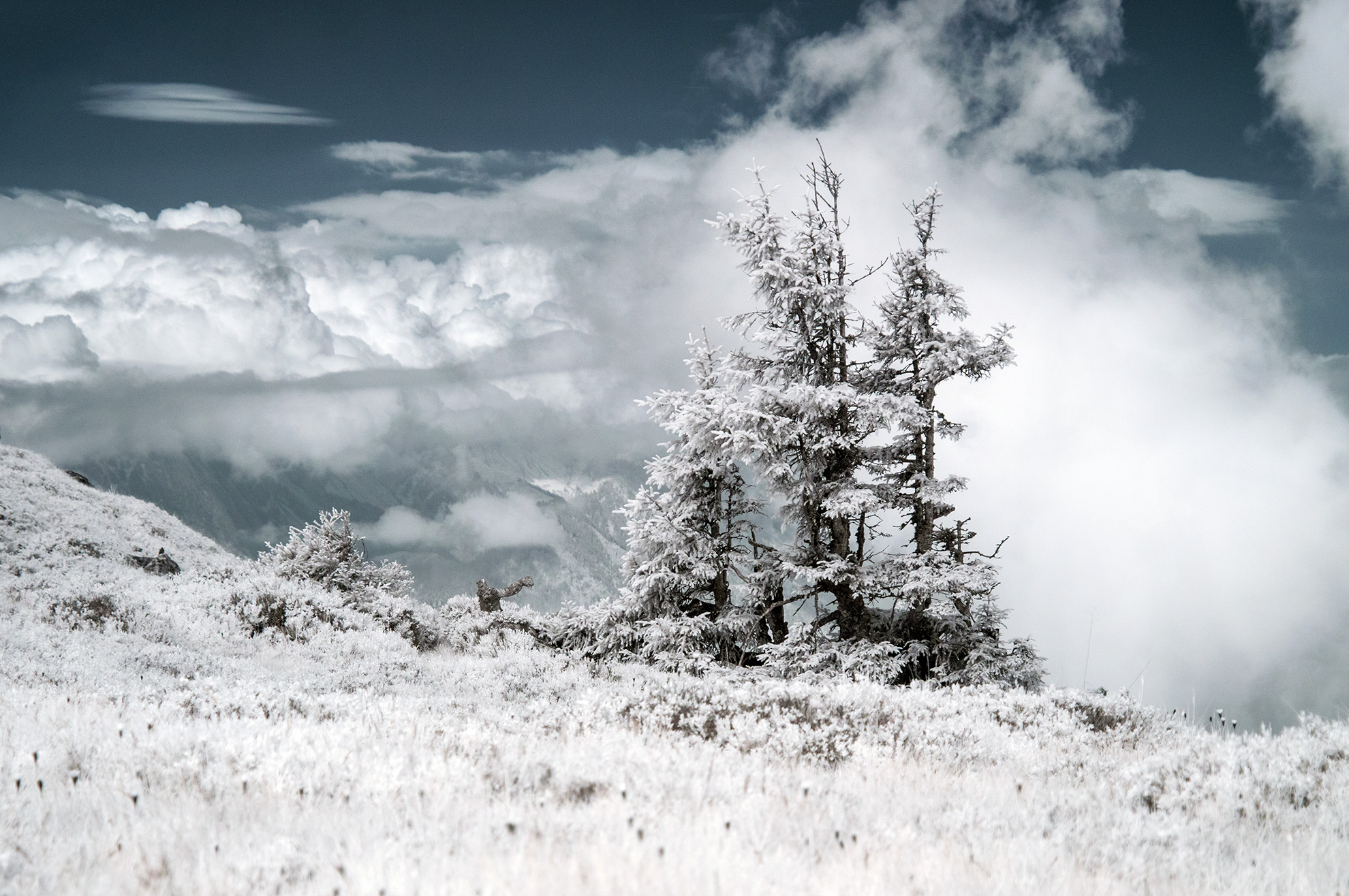 hiddenrealms.ch