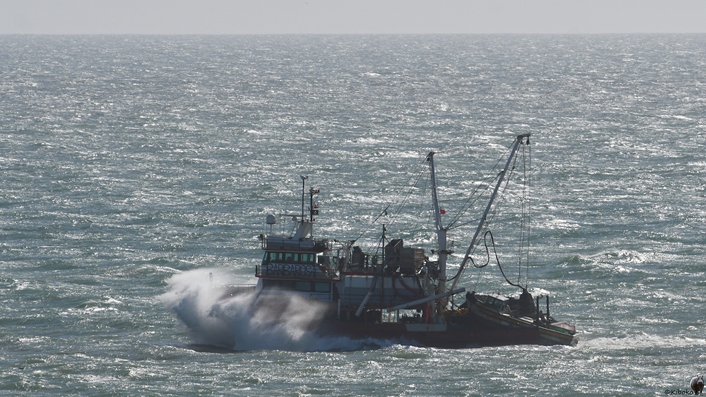 Das Bild zeigt einen kleinen Fischtrawler im Gegenlicht. Die Gischt spritzt über den Bug. Das Meer glitzert weiß im Gegenlicht.