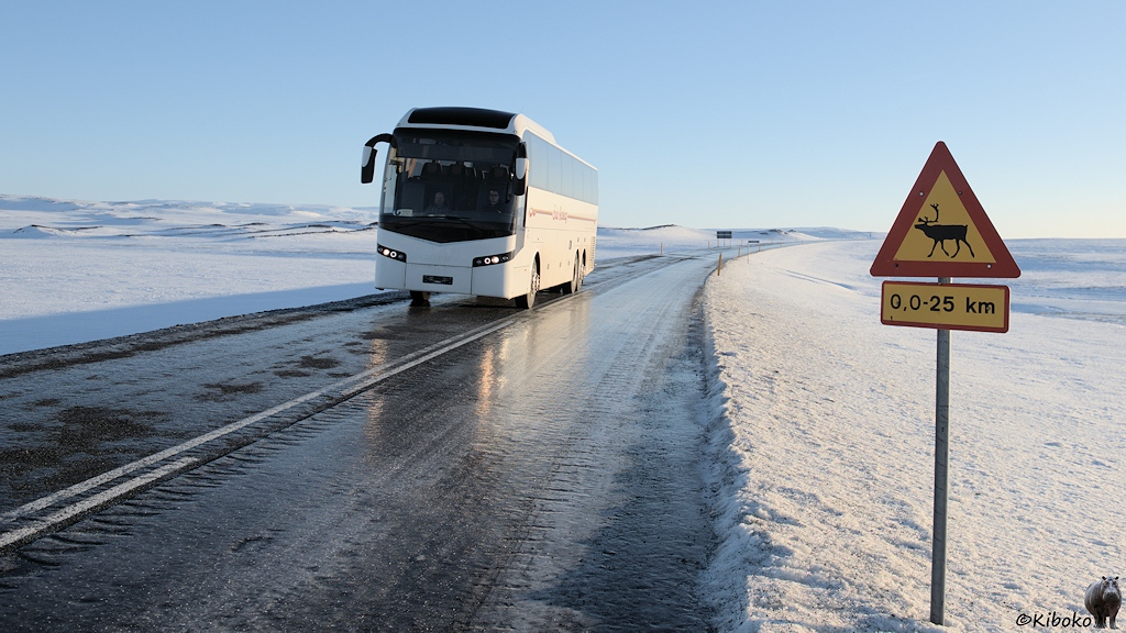 Am Straßenrand steht ein dreieckiges gelbes Schild mit rotem Rand und einem Rentier. Darunter ist ein gelbes Zusatzschild mit der Aufschrift 0,0-25km. Ein weißer Reisebus kommt auf vereister Straße entgegen. Darum ist eine weite, schneebedeckte Ebene.