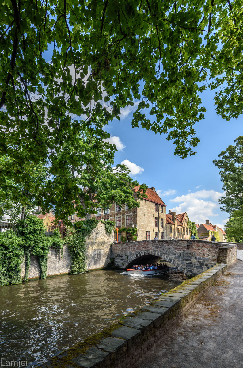 DSC_5982-Bearbeitet.jpg
