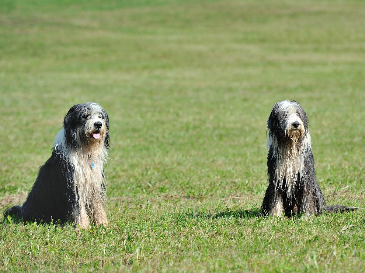 C_DSC_0136.jpg
