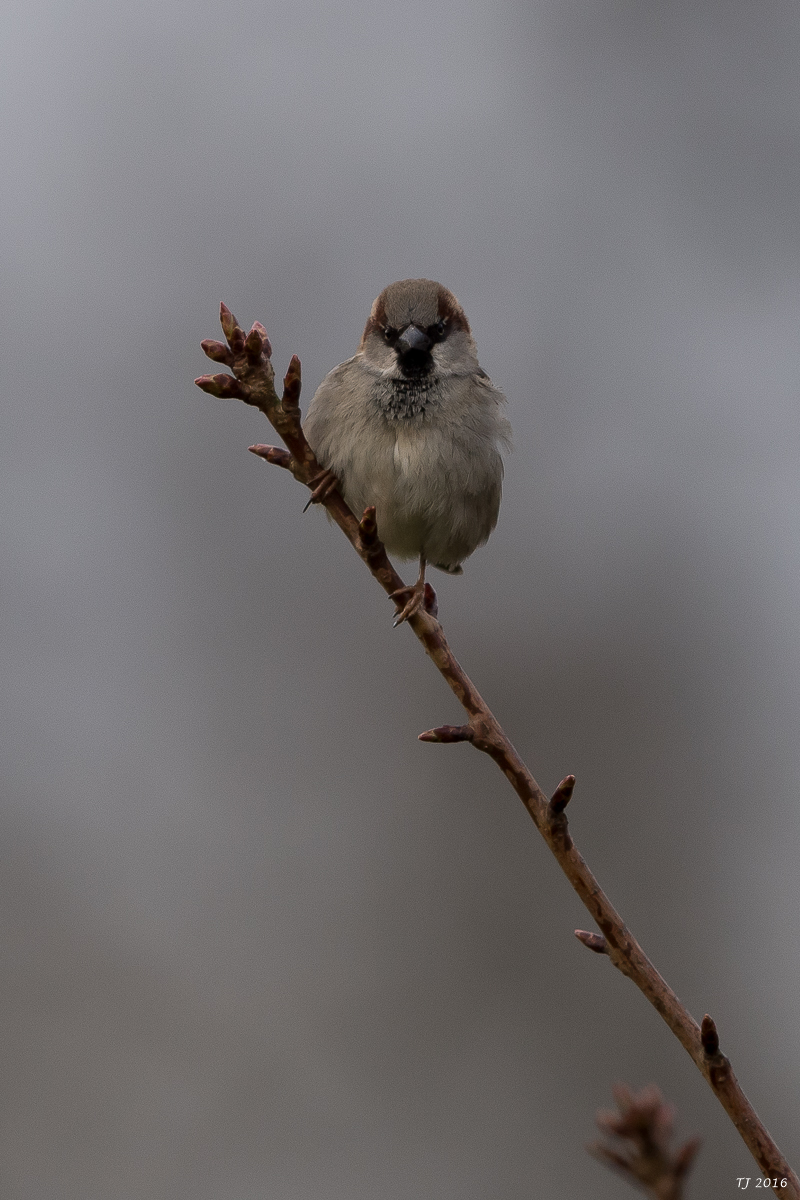 DSC_0814.jpg