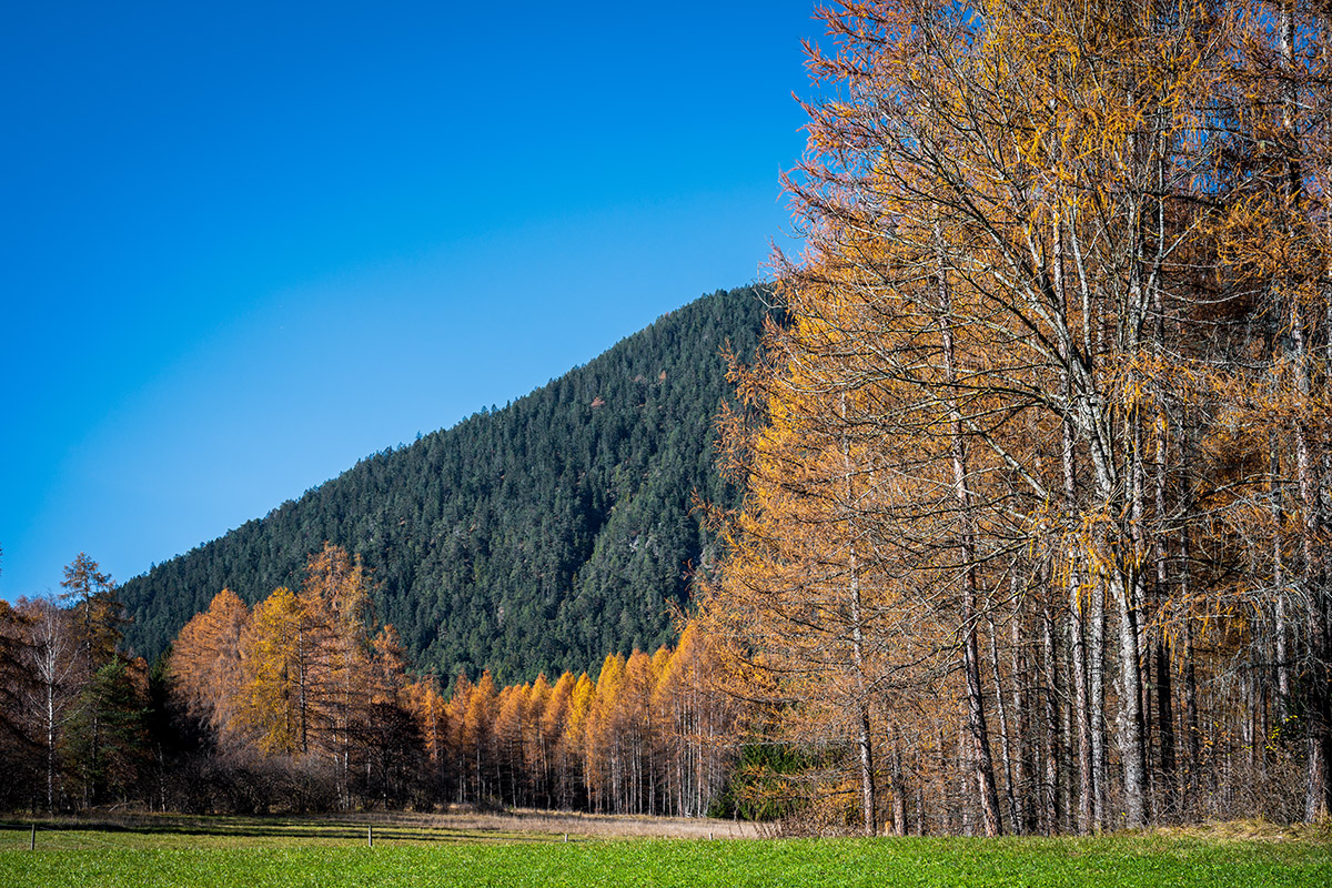 20201114_NZ7_1983NF.jpg