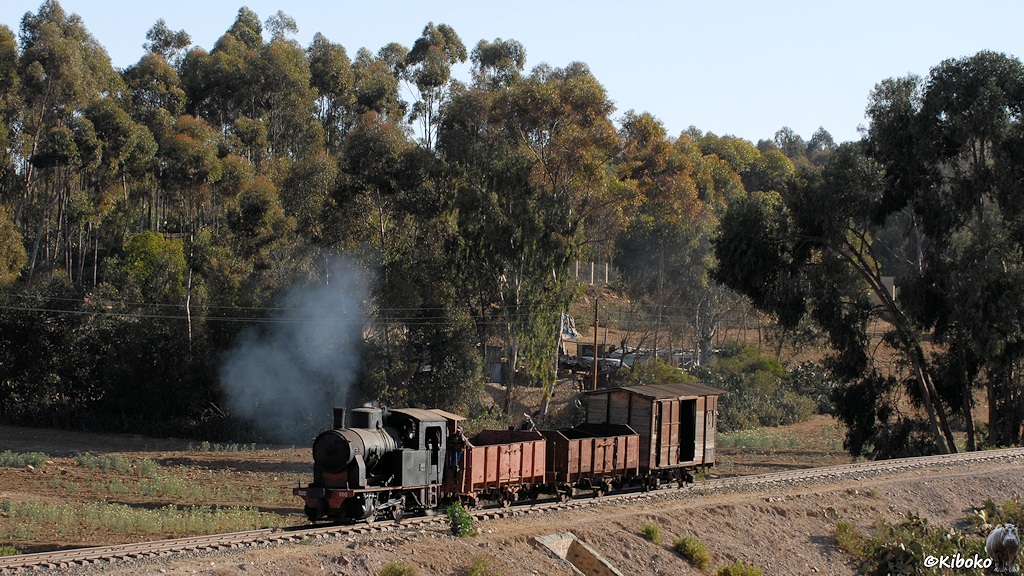 http://foto-kiboko.de/reise/eritrea2009/bilder/6/s615_bAsmara_202-002_3937a.jpg