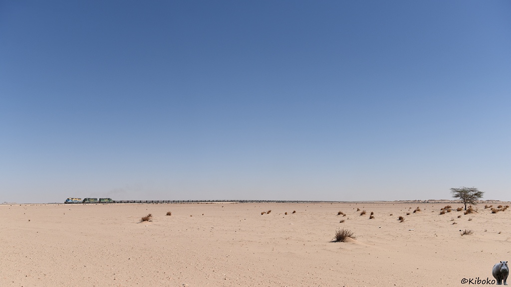 Das Bild zeigt drei Diesellokomotiven, die einen endlosen Zug aus offenen Güterwagen durch eine ebene Wüste aus hellem Sand zieht. Der Himmel ist blau. In der Wüste stehen einzelne Grasbüschel. Am rechten Bildrand ist ein einsamer Baum.