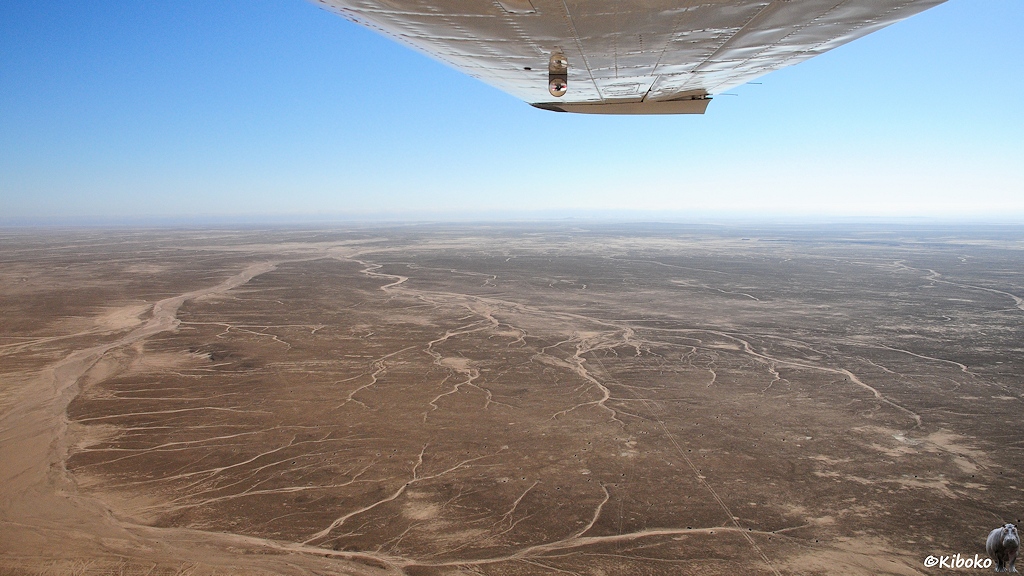 Eine braune Ebene mit Spuren von Flüssen und Autos reicht bis zum Horizont. Ein Flugzeugflügel ragt oben ins Bild.