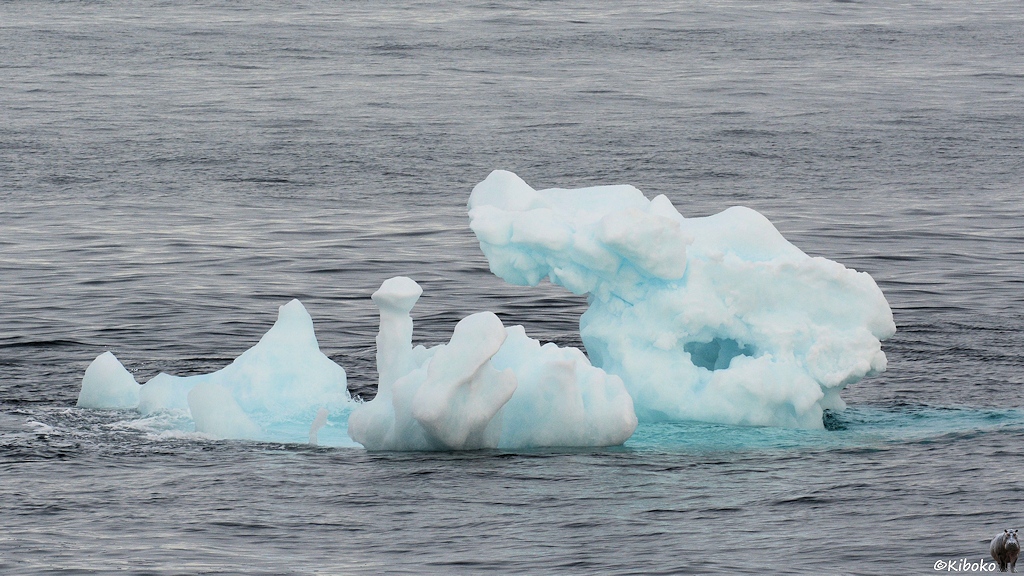 s781_Spitzbergen_Eisberg_3787.jpg