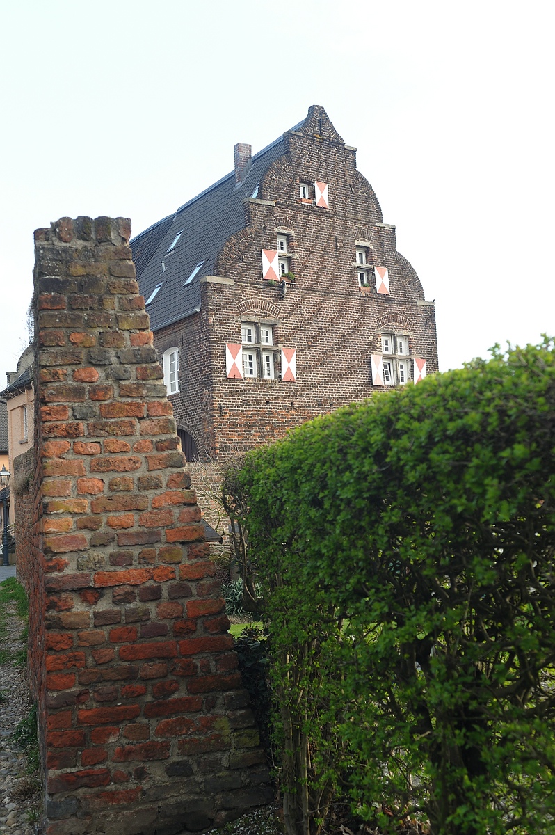 CK.R._DSC_1301.jpg