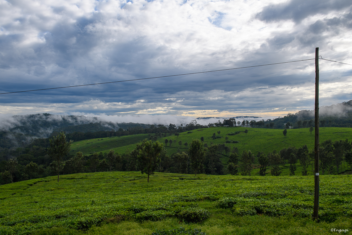 Uganda%200871.jpg