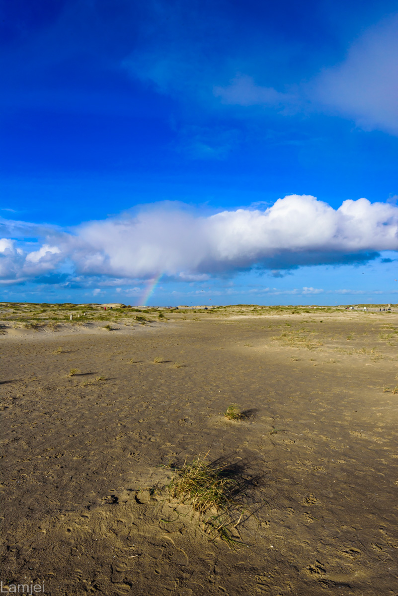 DSC_6752.jpg