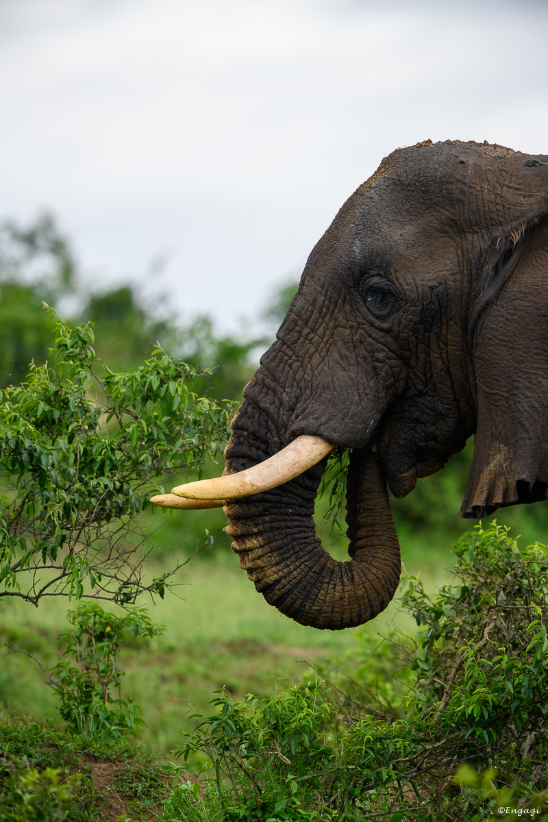 Uganda%201107.jpg