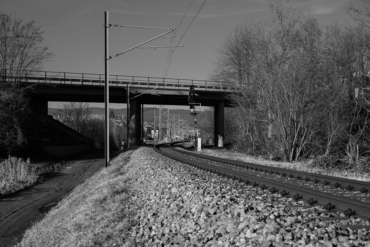 DSC_1187-2.jpg