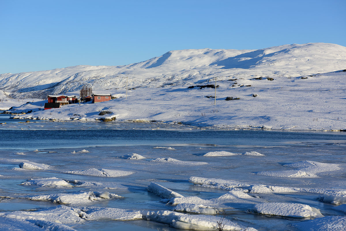 DSC_2699.jpg