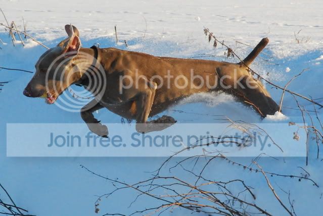 DSC_18321.jpg