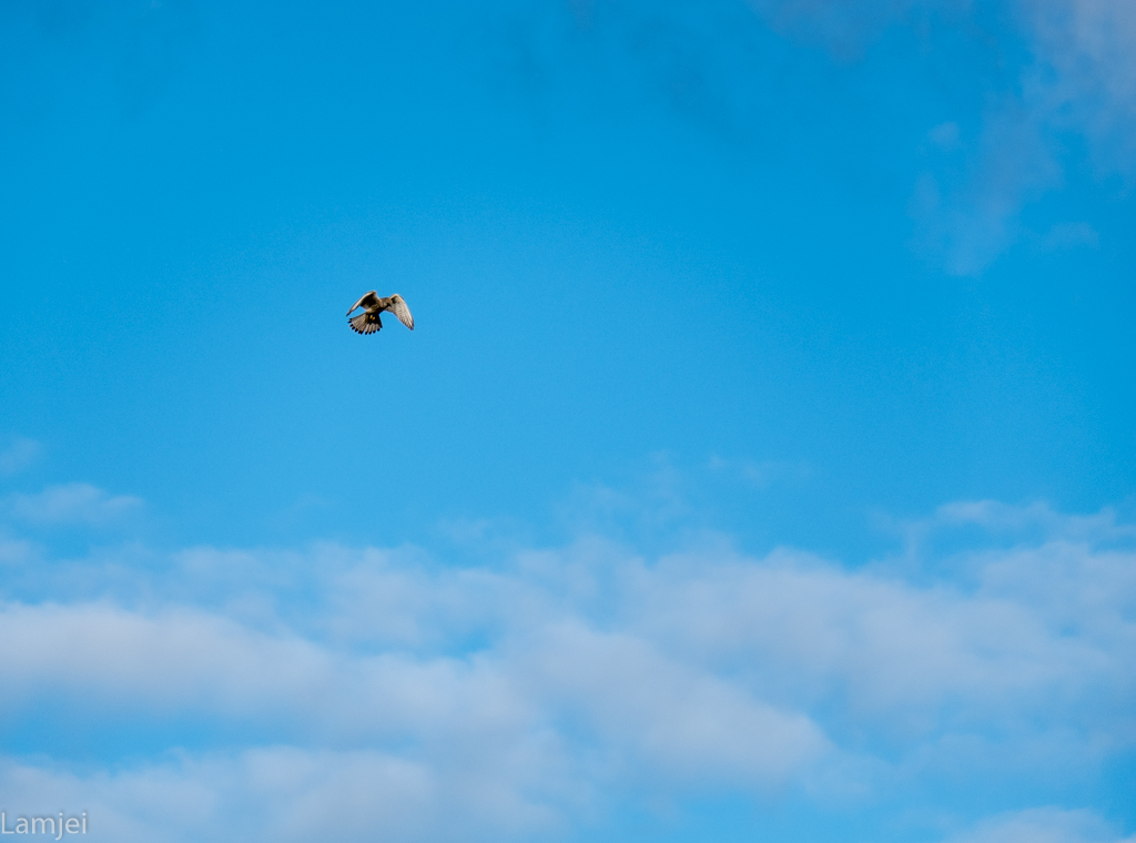 XT-20_254.jpg