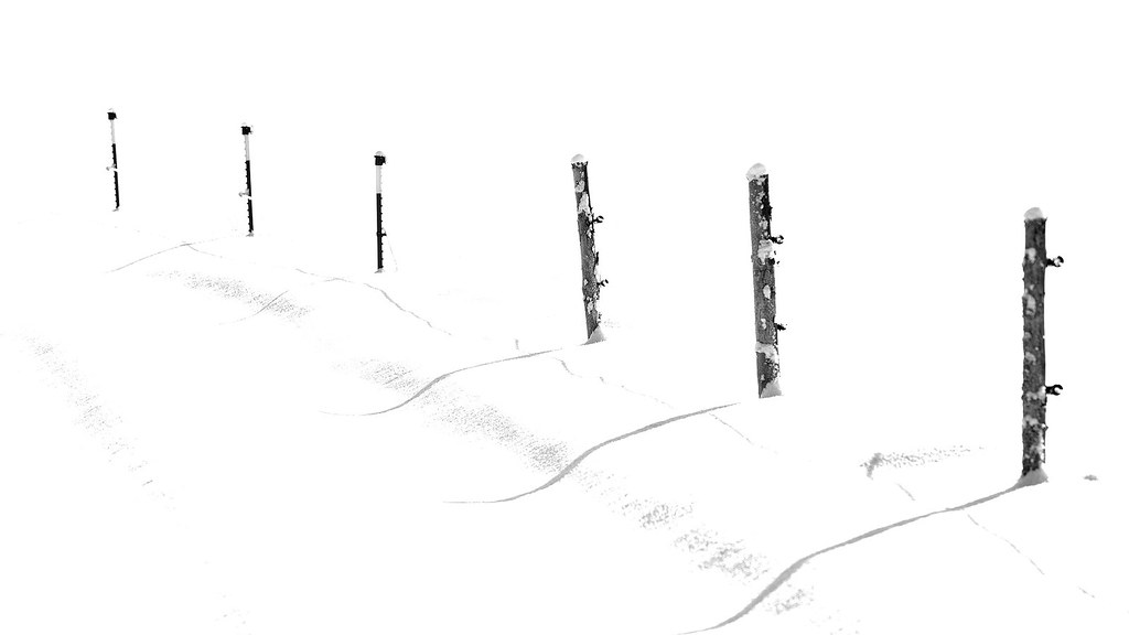 16247396618_dc6cede029_b.jpg