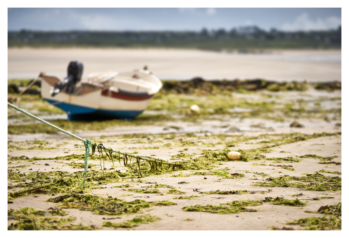 bretagne-08200.jpg