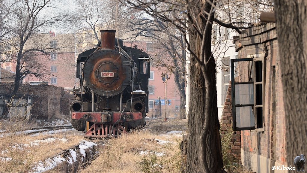 Das Bild zeigt eine verrostete Dampflok von vorn neben der Halle. Sie steht an einer ehemaligen Untersuchungsgrube im trockenen Gras zwischen kahlen bäumen. Der Kessel ist verrostet. Die Kolben fehlen.