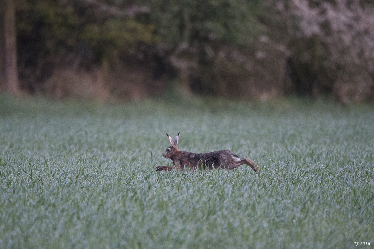 DSC_0023.jpg