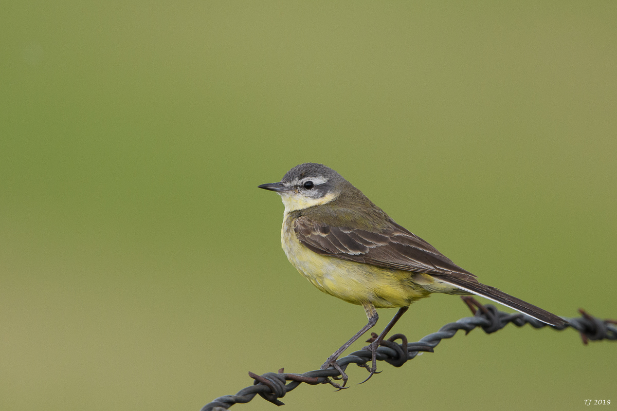 DSC_8406.jpg