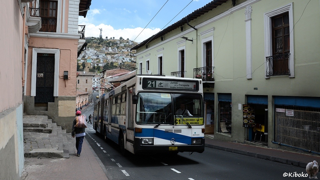 Das Bild zeigt eine schmale Straße. Darin fährt ein weißer Gelenkbus mit blauem Zierstreifen. Die Einstiegstüren sind fast auf Fensterhöhe. Der Bus fährt elektrisch mit Oberleitung. Auf beiden Seiten stehen Häuser. Am rechten Bildrand ist ein hellgrünes Haus mit Geschäften im Erdgeschoss. Im Hintergrund ist ein bebauter Berg mit einer Statue an der Spitze.