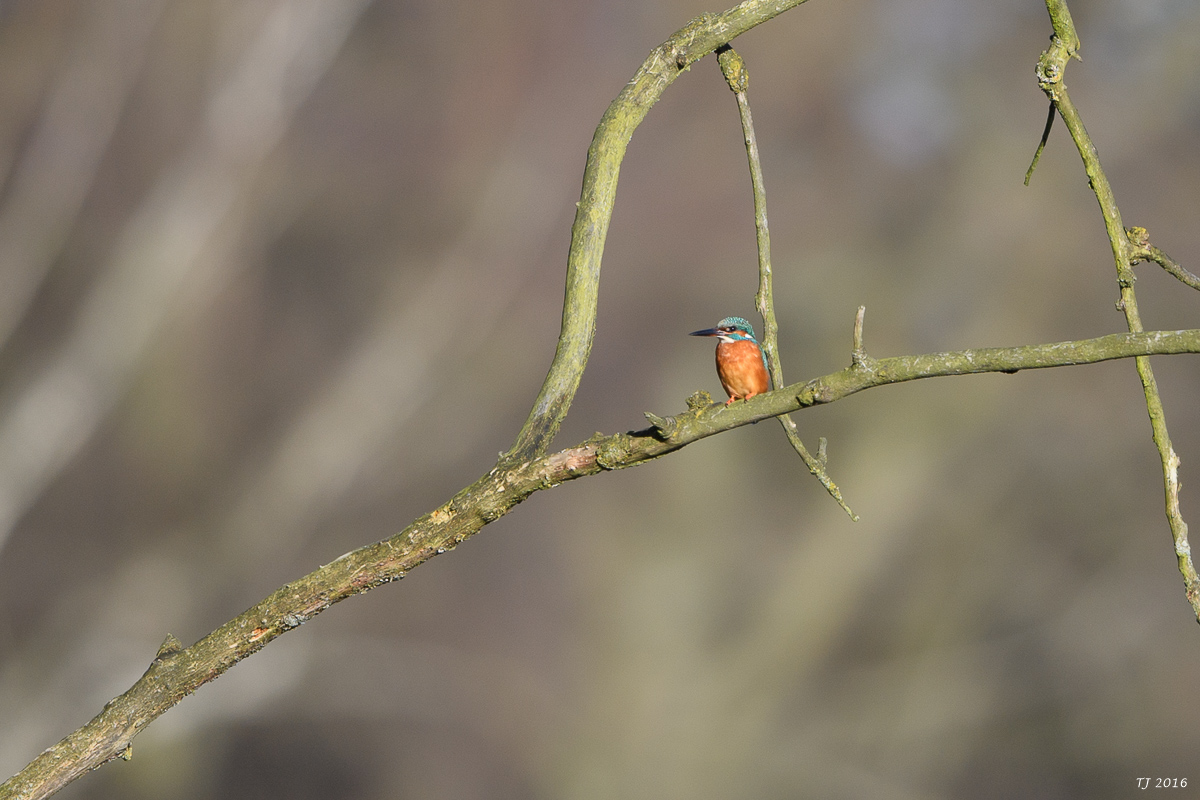 DSC_0569.jpg