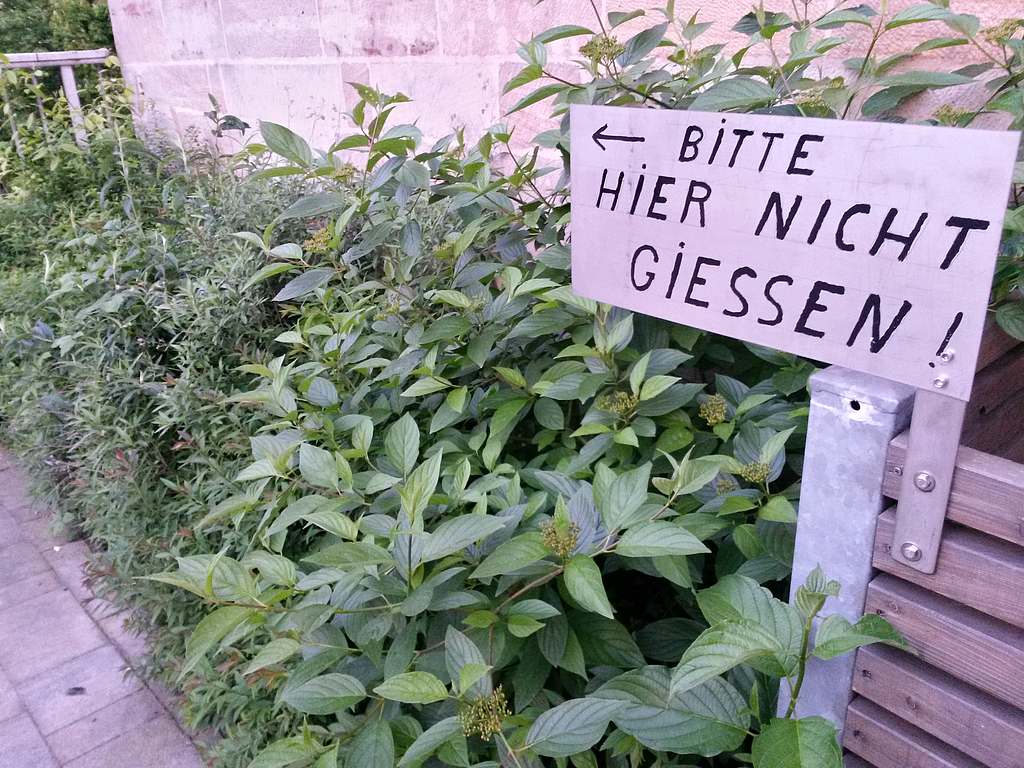 Giessen.jpg