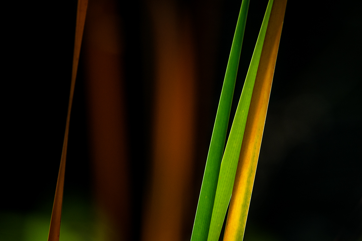 20210917_D500_6470NF.jpg