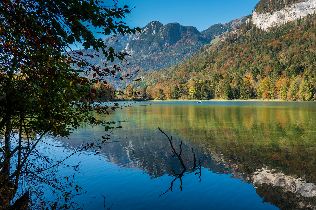 20181014_RX100M6_0181NF.jpg