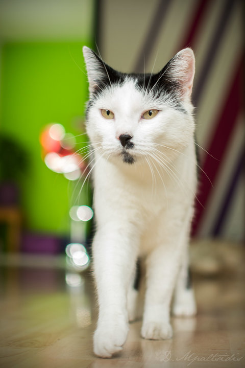 22312131xk.jpg